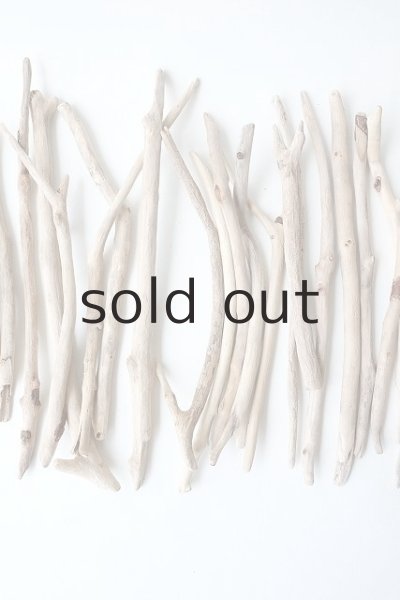 画像3: 小枝流木セット (3)