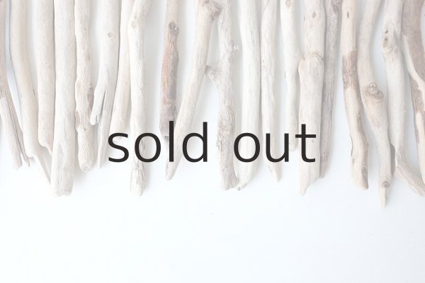 画像5: 小枝流木セット (5)