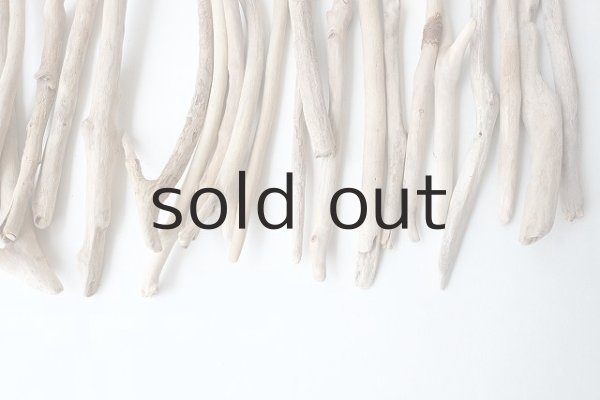 画像5: 小枝流木セット (5)