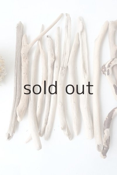 画像2: 小枝流木セット (2)