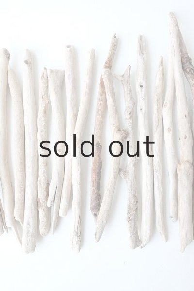 画像3: 小枝流木セット (3)