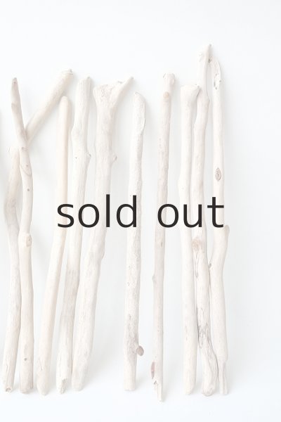 画像5: 小枝流木セット (5)