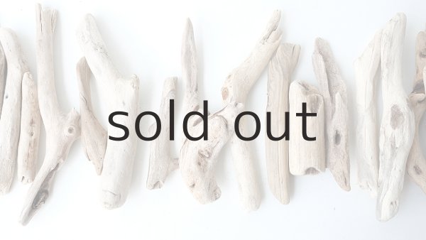 画像3: 小枝流木セット (3)