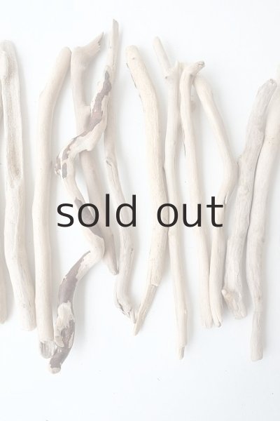 画像3: 小枝流木セット (3)