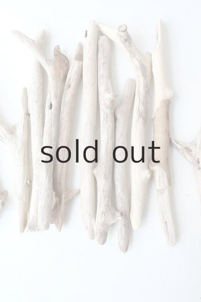 画像3: 小枝流木セット (3)