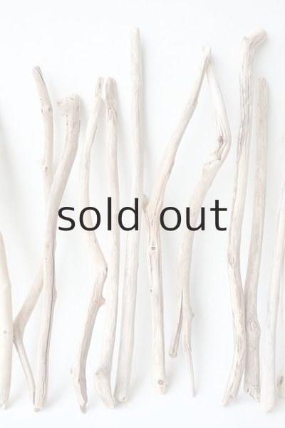 画像3: 小枝流木セット (3)