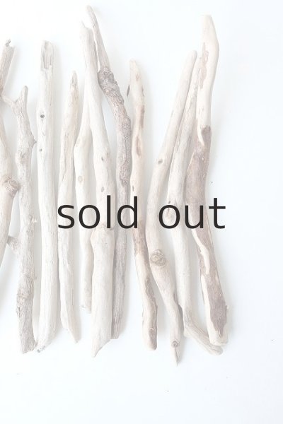 画像4: 小枝流木セット (4)