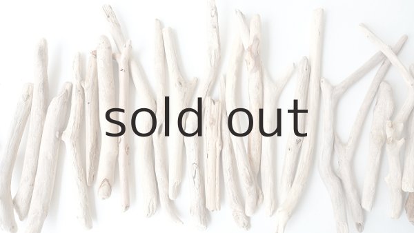 画像3: 小枝流木セット (3)