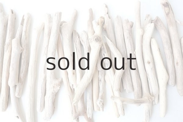 画像3: 小枝流木セット (3)