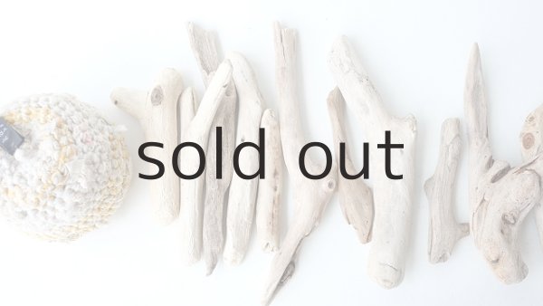 画像2: 小枝流木セット (2)