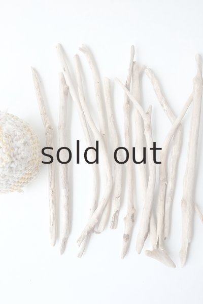 画像2: 小枝流木セット (2)