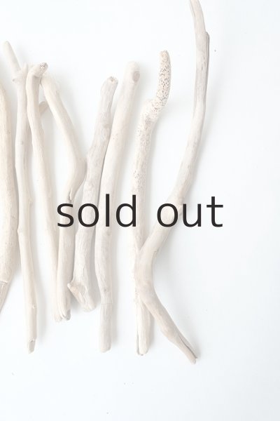 画像4: 小枝流木セット (4)