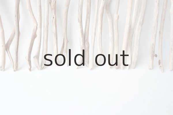 画像6: 小枝流木セット (6)