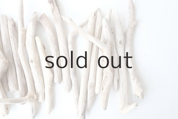 画像4: 小枝流木セット (4)