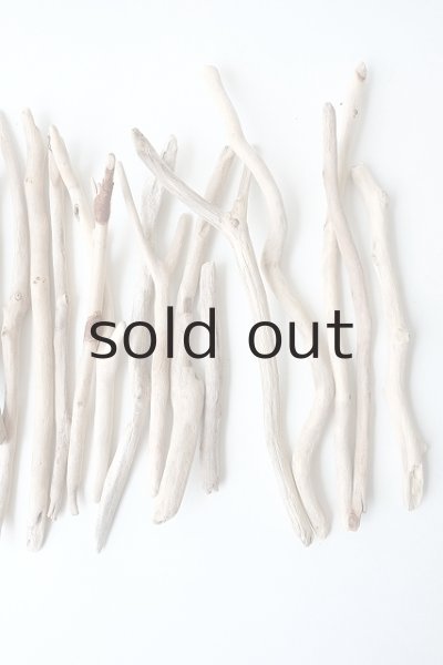 画像4: 小枝流木セット (4)