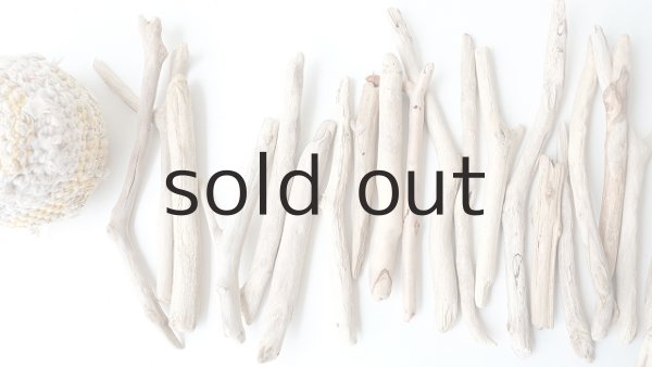 画像2: 小枝流木セット (2)