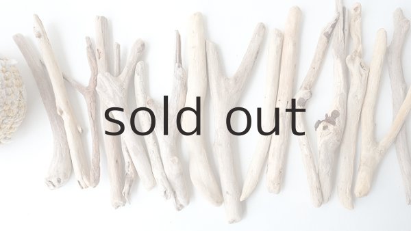 画像2: 小枝流木セット (2)