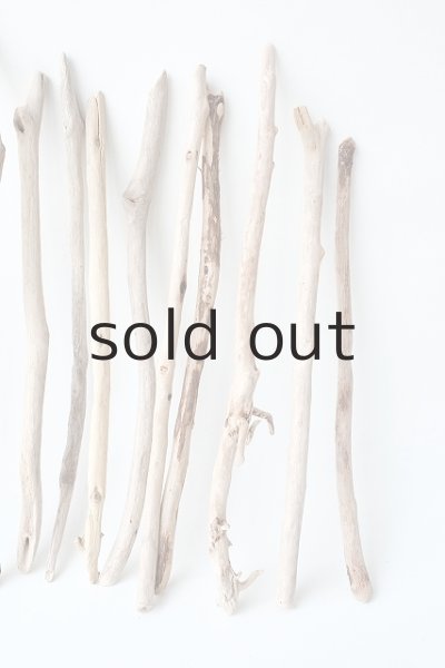 画像5: 小枝流木セット (5)