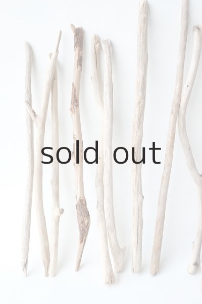 画像2: 小枝流木セット (2)