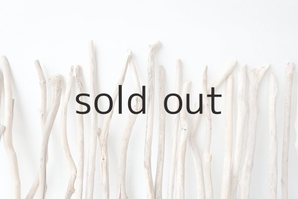 画像7: 小枝流木セット (7)