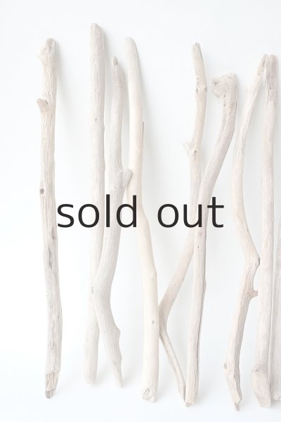 画像2: 小枝流木セット (2)