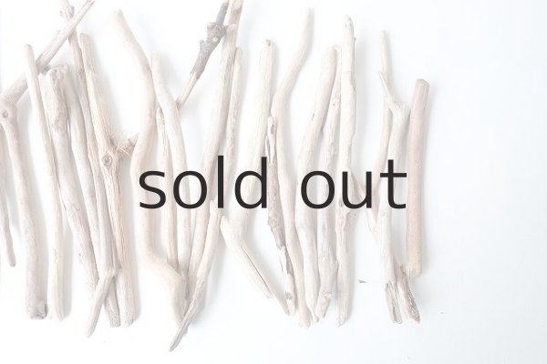 画像4: 小枝流木セット (4)