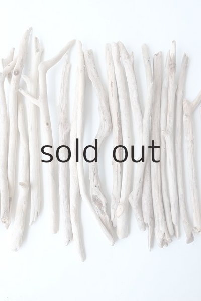 画像3: 小枝流木セット (3)