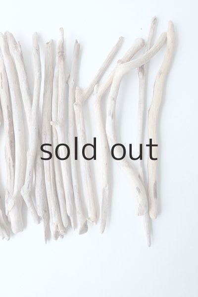 画像4: 小枝流木セット (4)