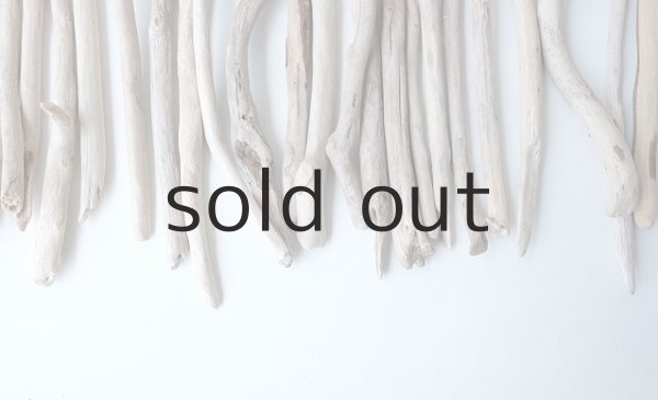 画像5: 小枝流木セット (5)