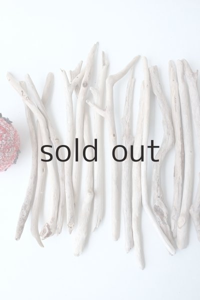 画像2: 小枝流木セット (2)