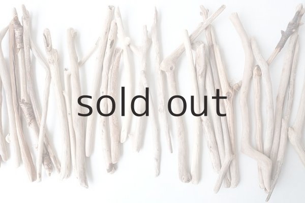 画像3: 小枝流木セット (3)