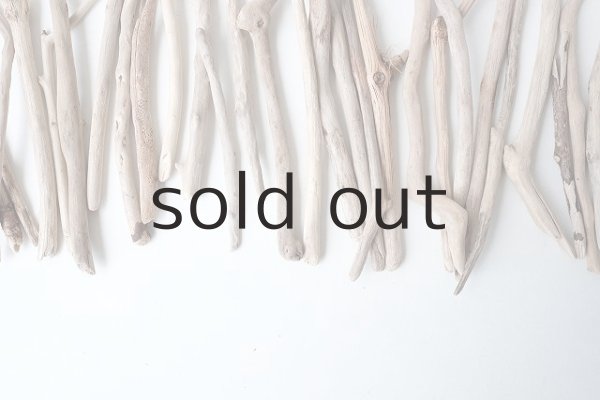 画像5: 小枝流木セット (5)