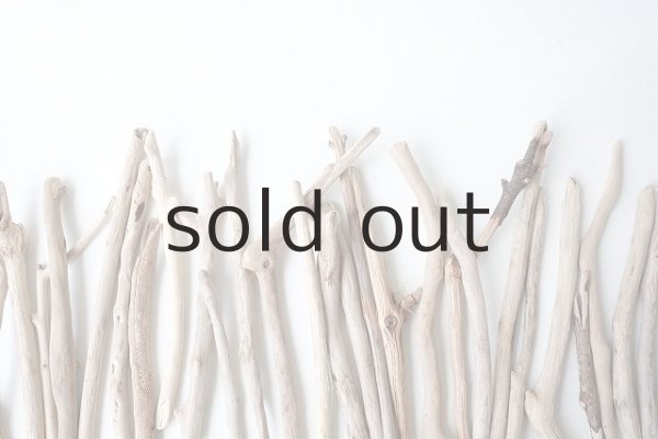 画像6: 小枝流木セット (6)