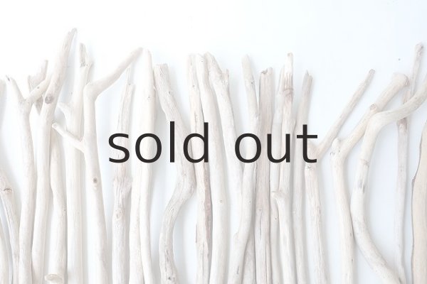 画像6: 小枝流木セット (6)