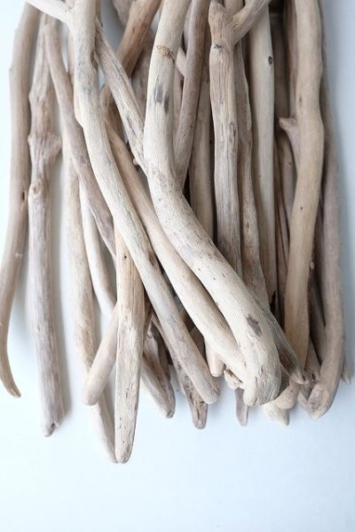 画像2: 小枝流木セット