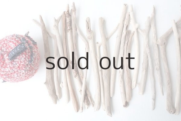 画像2: 小枝流木セット (2)