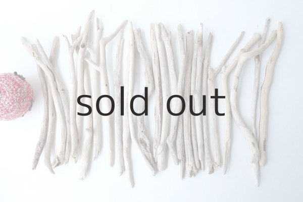 画像1: 小枝流木セット (1)