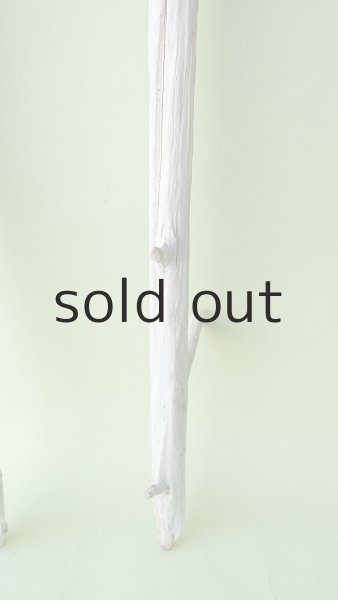 画像2: 枝流木セット (2)