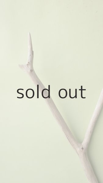 画像4: 枝流木 (4)