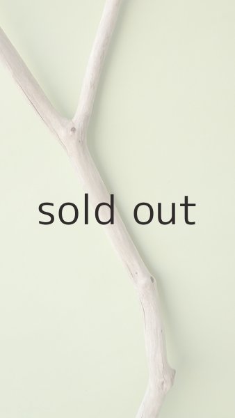 画像3: 枝流木 (3)