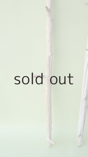 画像5: 枝流木セット (5)