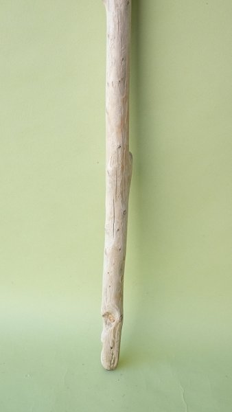 画像2: 枝流木 (2)