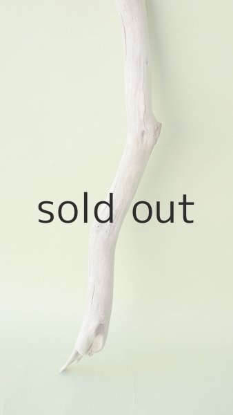 画像2: 枝流木 (2)