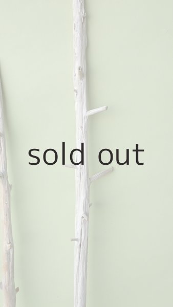 画像3: 枝流木セット (3)