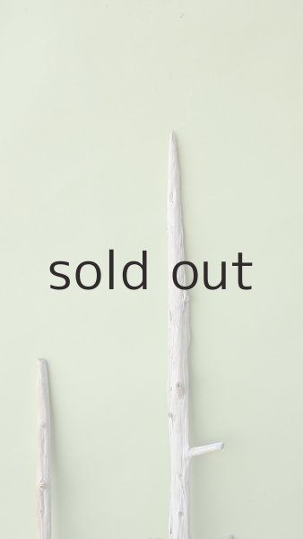 画像4: 枝流木セット (4)