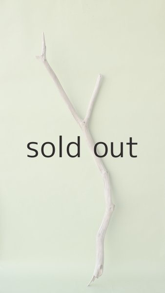 画像1: 枝流木 (1)