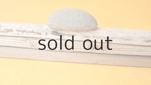 画像5: 板流木セット (5)