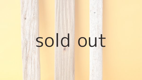 画像3: 板流木セット (3)