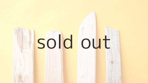 画像4: 板流木セット (4)