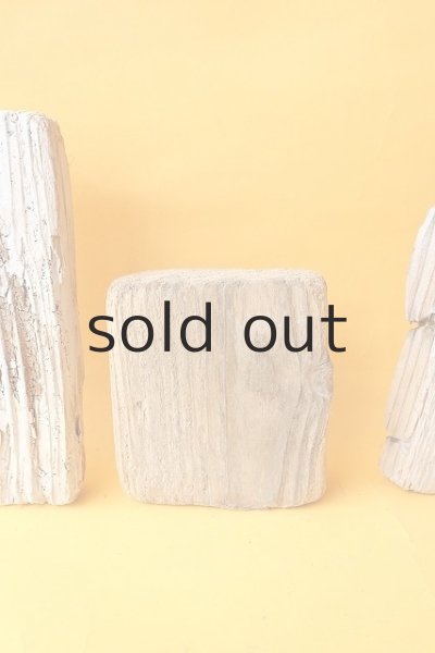 画像3: 板流木セット (3)